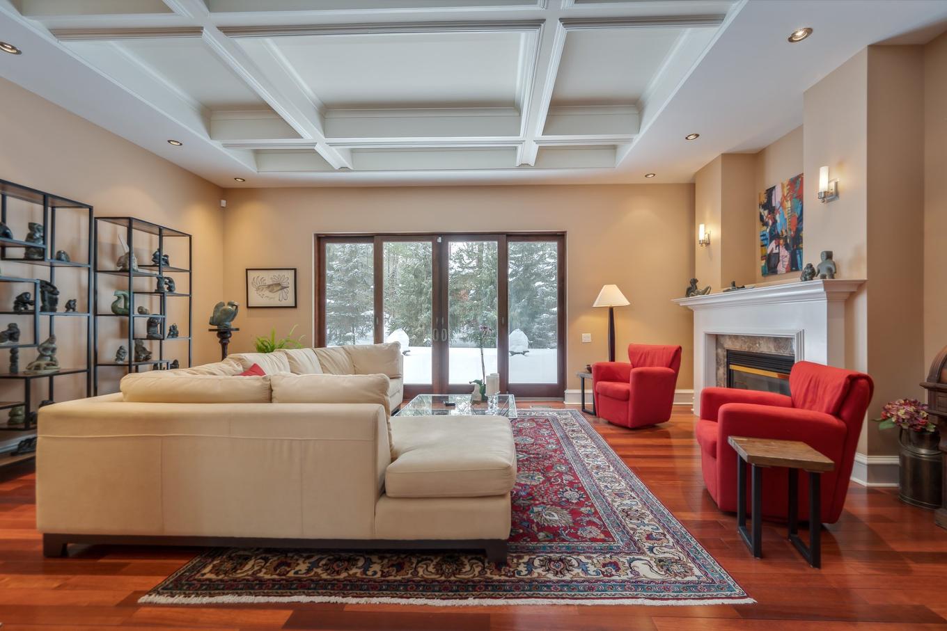 Salon - 19 Rue Raffles, Hudson, QC - Indoor Photo Showing Living Room With Fireplace