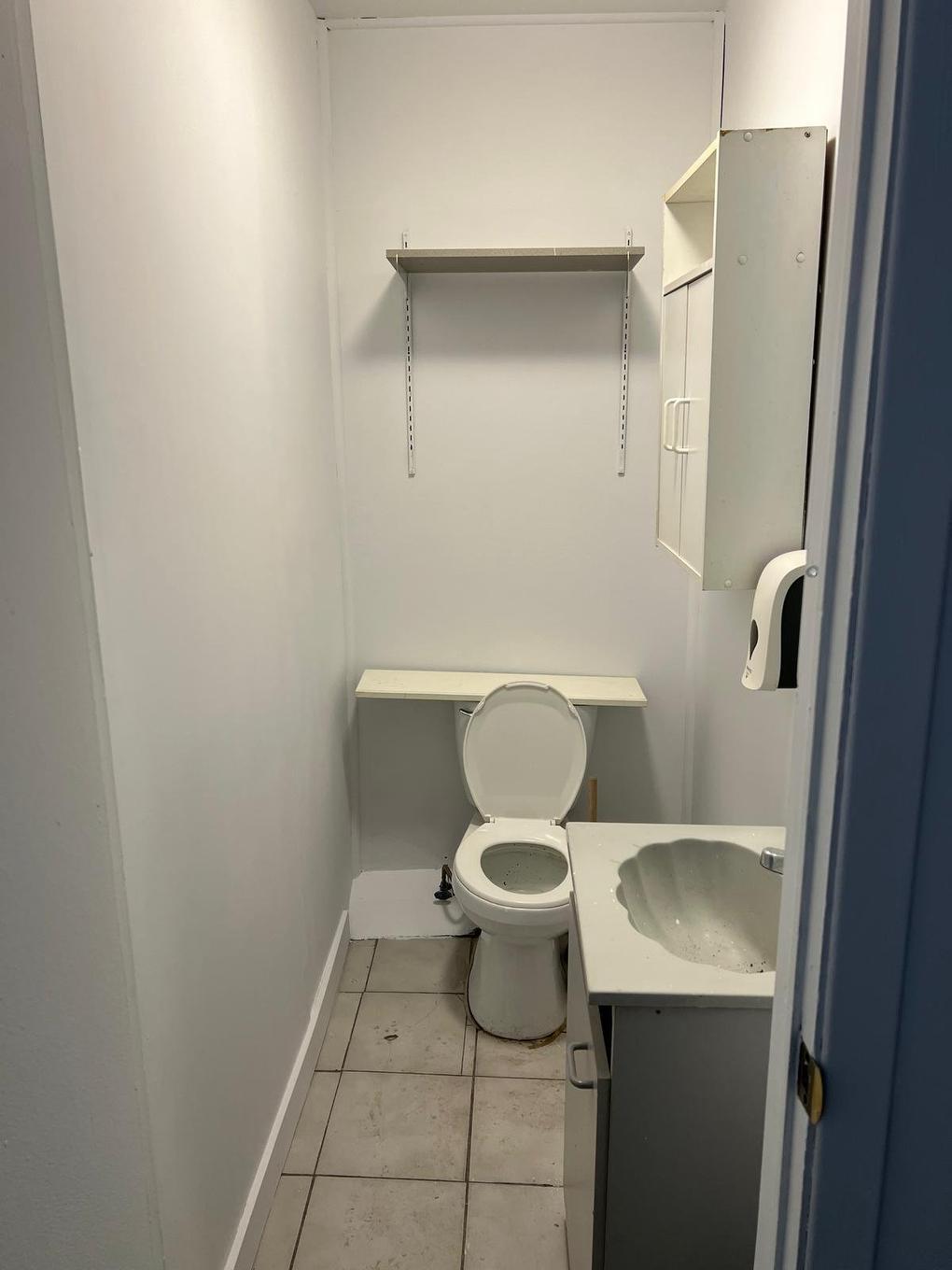 Salle de bains - 1329 Av. Du Mont-Royal E., Montréal (Le Plateau-Mont-Royal), QC