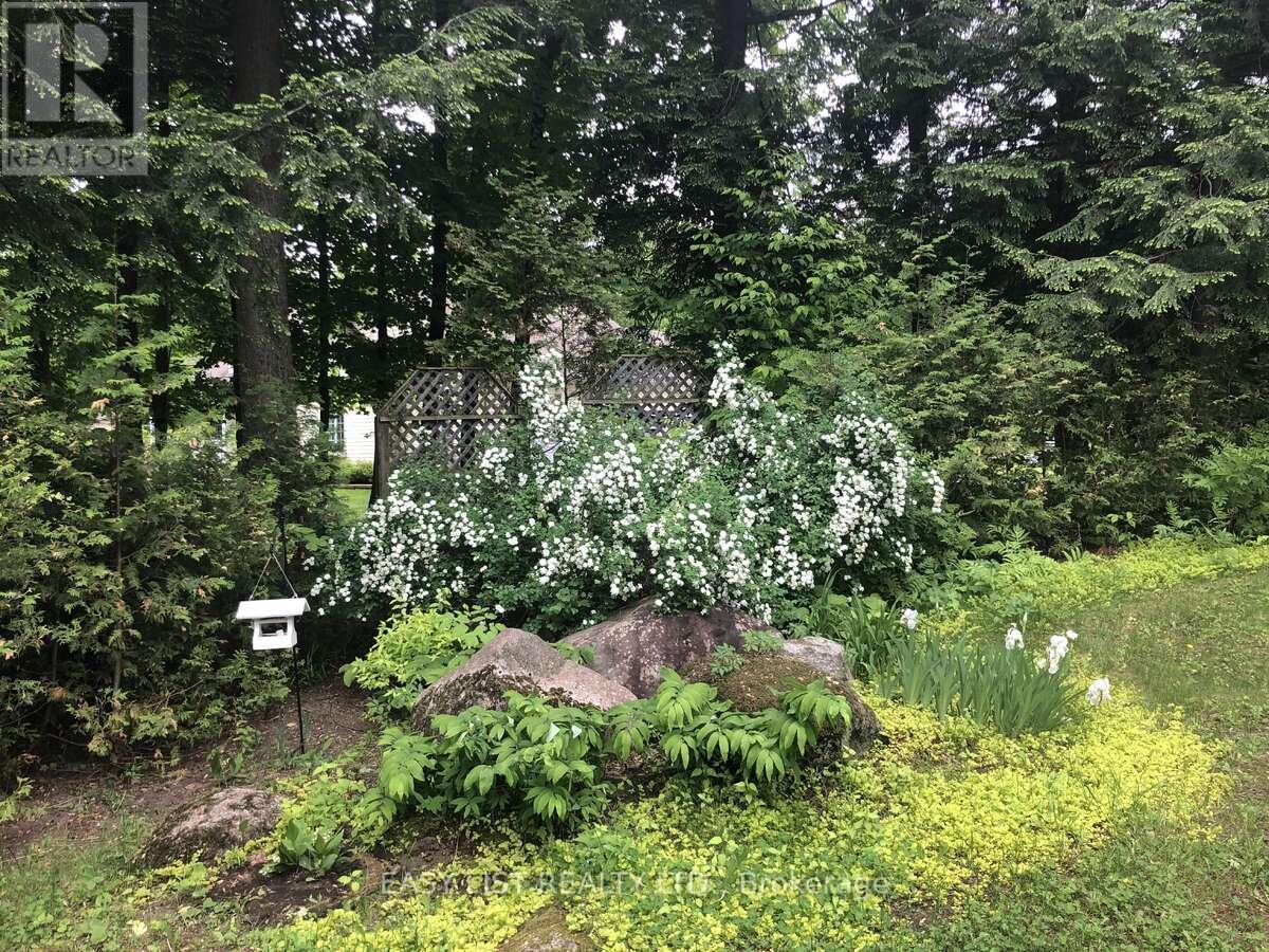 704 Pattee Road, Champlain, ON - Outdoor