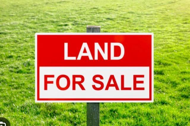 310 Martin Ave, Winnipeg, MB