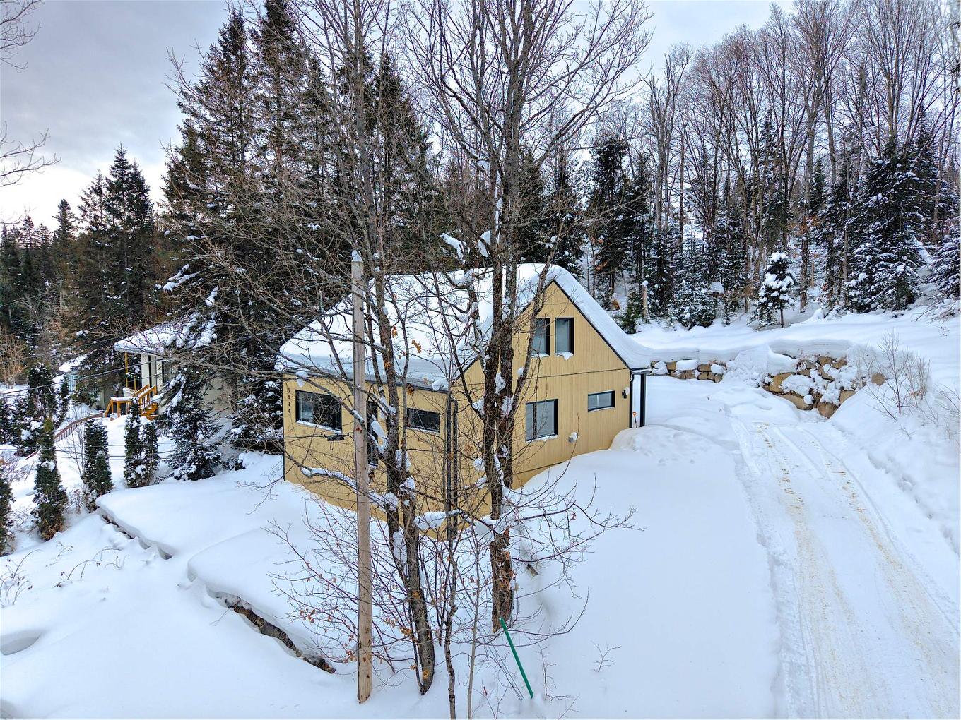 Extérieur - 1524 Rue Pierre-Émile-Gratton, Saint-Adolphe-D'Howard, QC - Outdoor