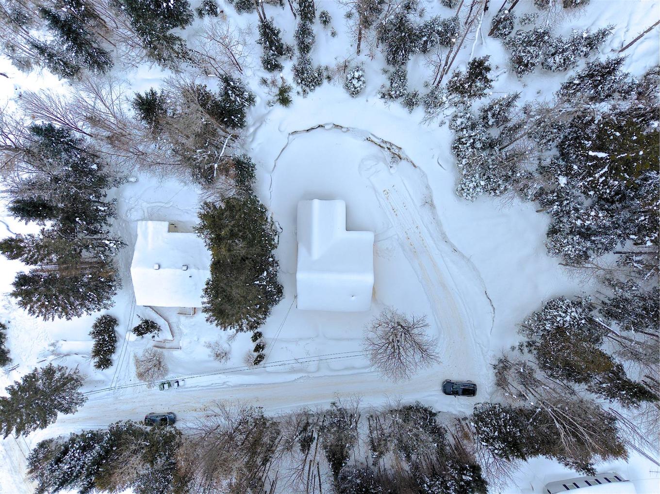 Photo aérienne - 1524 Rue Pierre-Émile-Gratton, Saint-Adolphe-D'Howard, QC - Outdoor With View