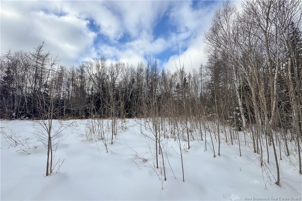 Lot Upper Cape Rd, Melrose, NB