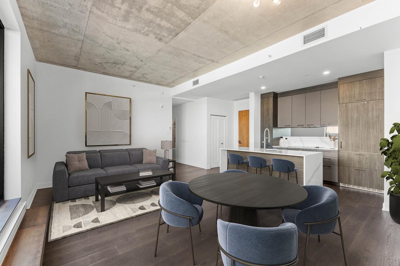 Overall view - 808-1575 Rue Gareau, Montréal (Ville-Marie), QC - Indoor