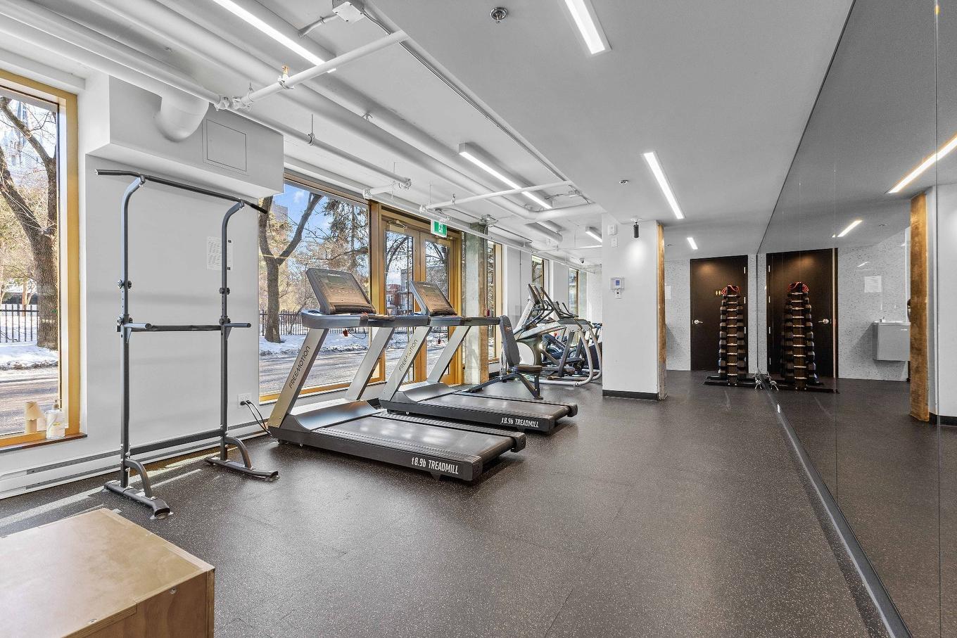 Exercise room - 808-1575 Rue Gareau, Montréal (Ville-Marie), QC - Indoor Photo Showing Gym Room