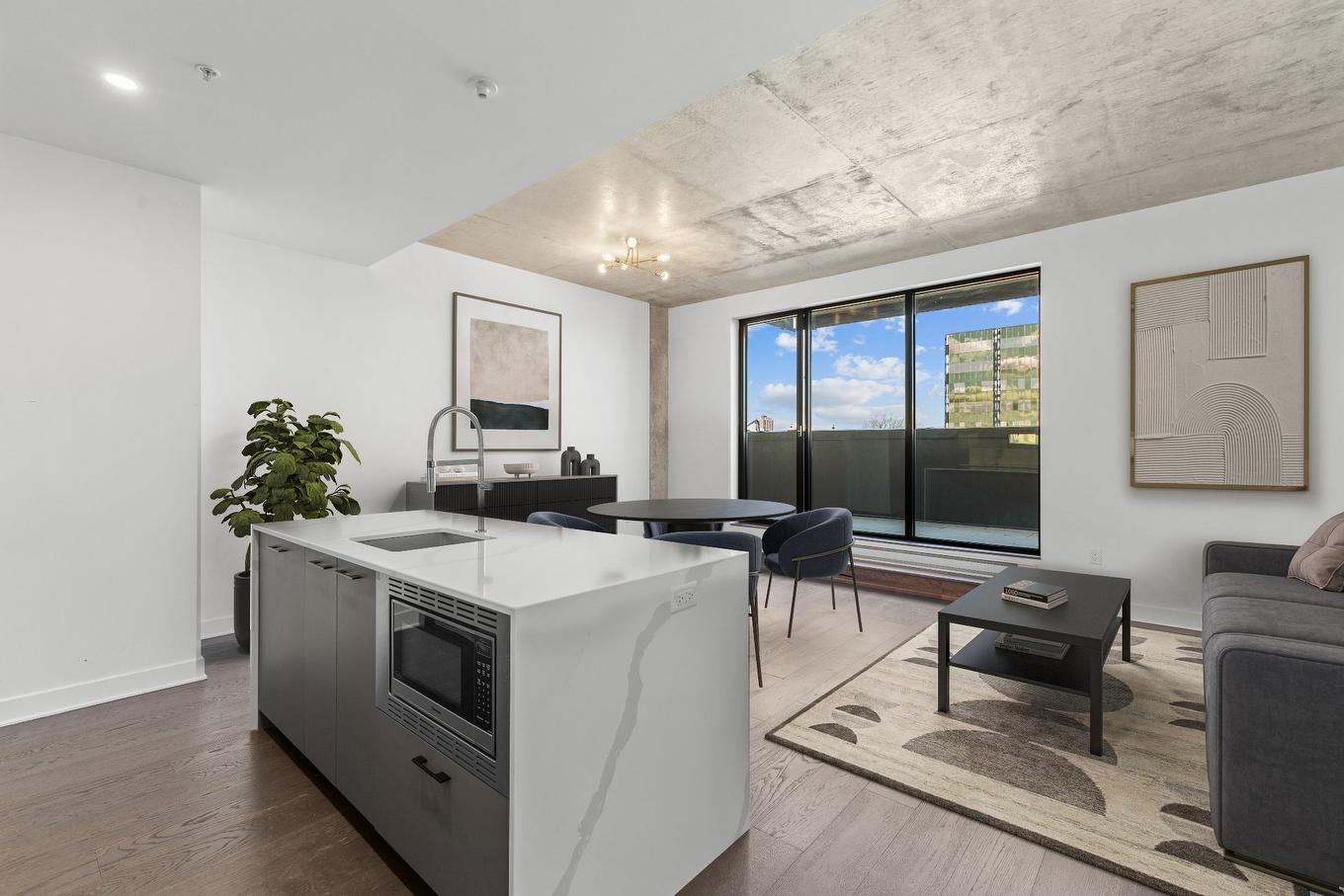 Overall view - 808-1575 Rue Gareau, Montréal (Ville-Marie), QC - Indoor