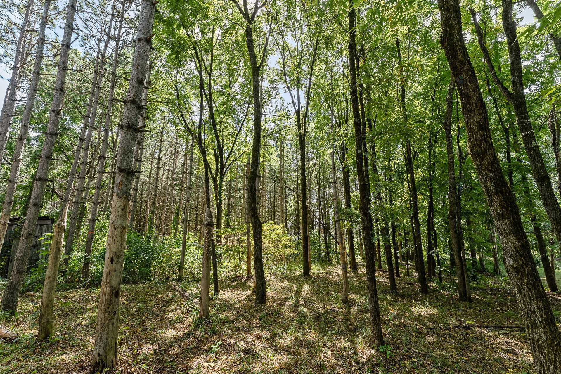 Terre/Terrain - 3483 Rue Principale, Dunham, QC