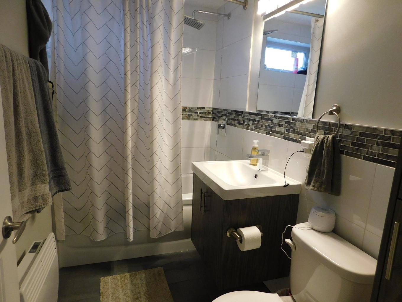 Bathroom - 6-1035 Rue De Liège O., Montréal (Villeray/Saint-Michel/Parc-Extension), QC - Indoor Photo Showing Bathroom