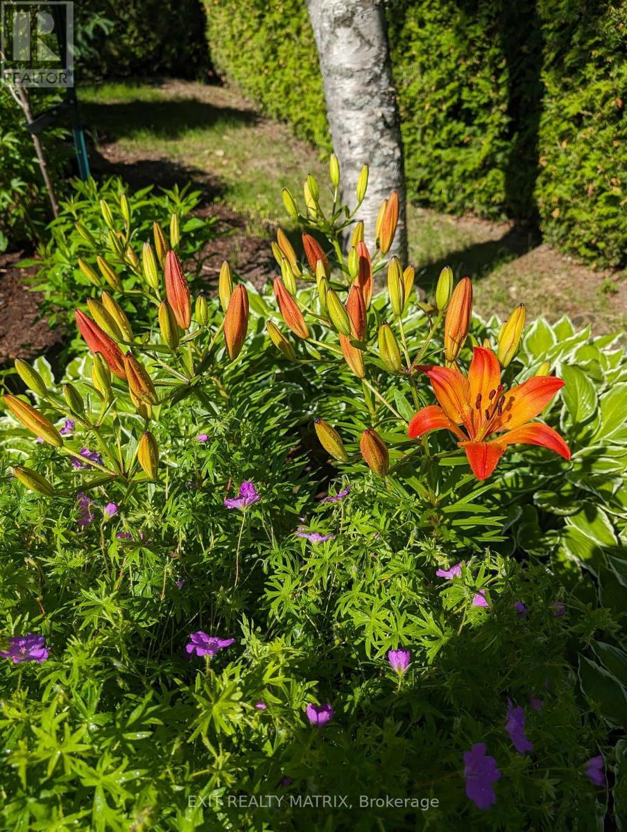 636 Front Road, Champlain, ON - Outdoor