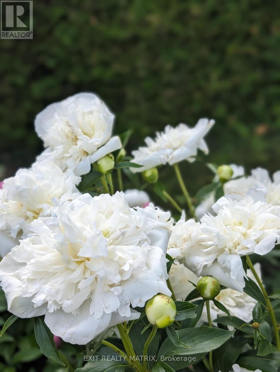 636 Front Road, Champlain, ON - Outdoor With View