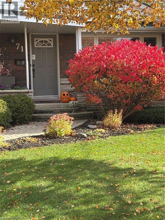 fall - 71 Pinecrest Drive, Kitchener, ON - Outdoor