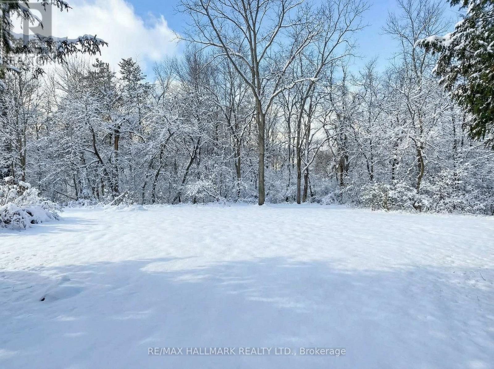 108 Yongehurst Road, Richmond Hill, ON - Outdoor With View
