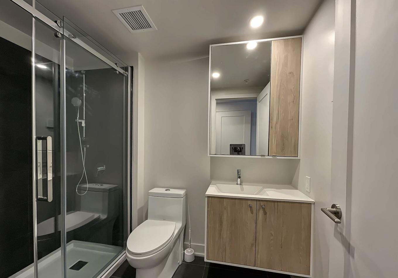 Salle de bains - 216-4820 4E Avenue, Montréal (Rosemont/La Petite-Patrie), QC - Indoor Photo Showing Bathroom