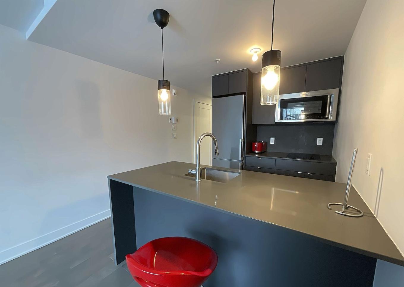 Cuisine - 216-4820 4E Avenue, Montréal (Rosemont/La Petite-Patrie), QC - Indoor Photo Showing Kitchen