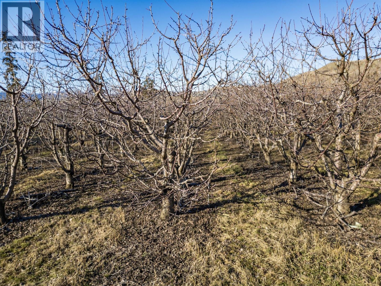 9810 Venables Drive, Coldstream, BC - Outdoor With View