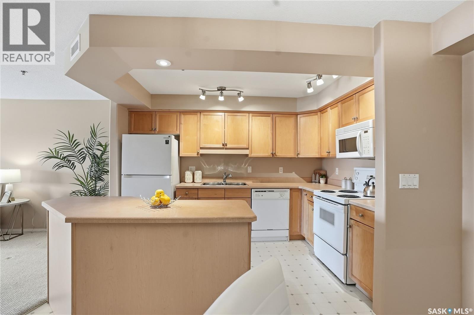 102 2213 Adelaide Street E, Saskatoon, SK - Indoor Photo Showing Kitchen With Double Sink