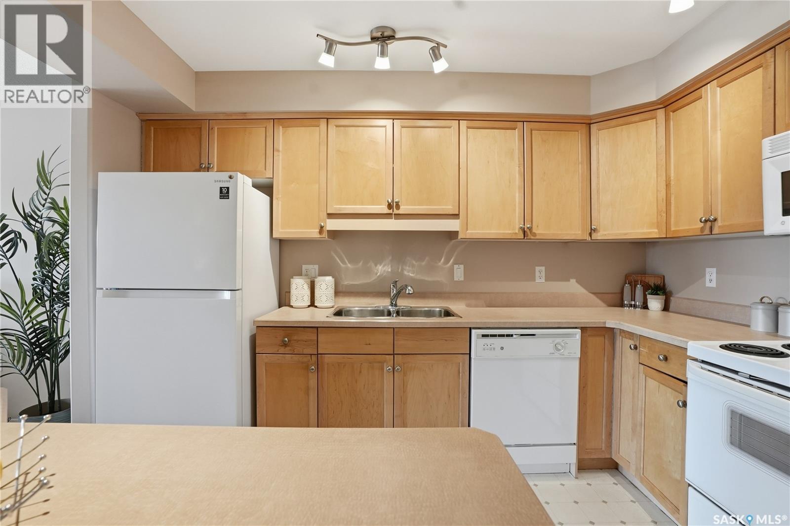 102 2213 Adelaide Street E, Saskatoon, SK - Indoor Photo Showing Kitchen With Double Sink