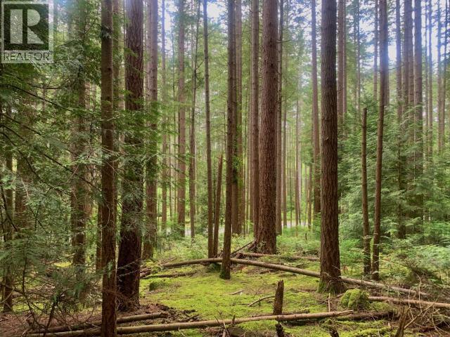 6237 Lund, Powell River, BC - Outdoor With View