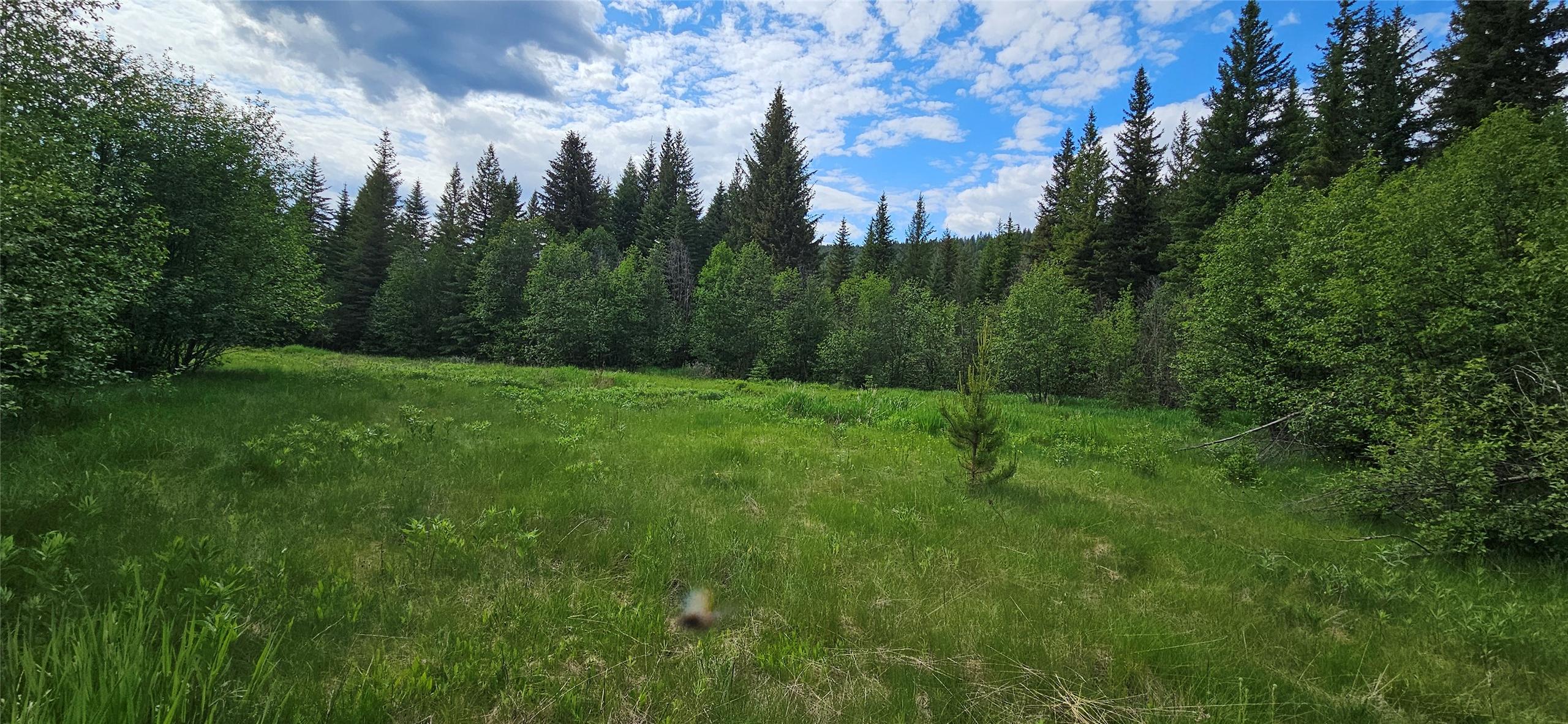 12165 Highway 3, Greenwood, BC - Outdoor With View