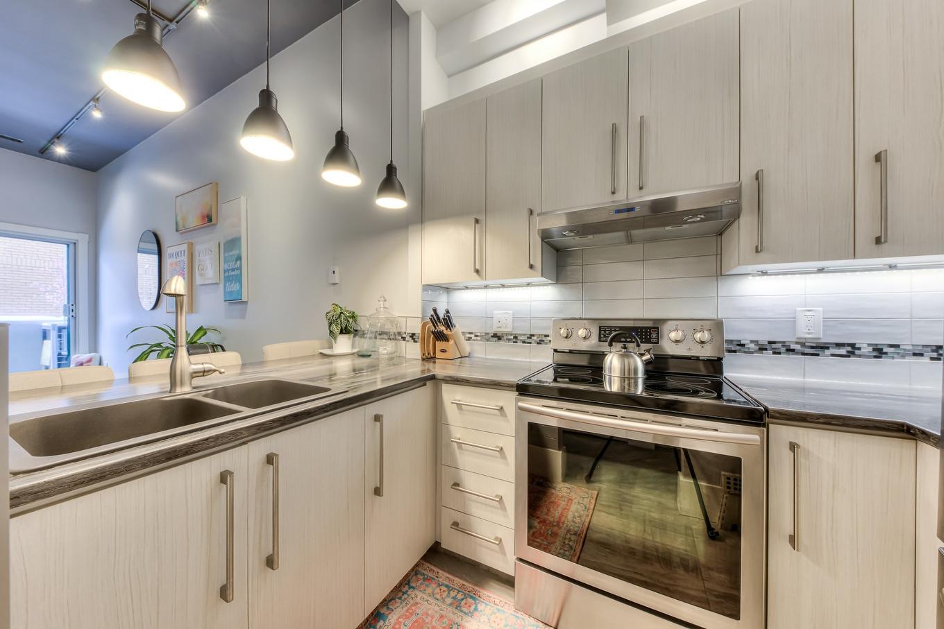Kitchen - 200-5099 Rue Jeanne-Mance, Montréal (Le Plateau-Mont-Royal), QC - Indoor Photo Showing Kitchen With Double Sink