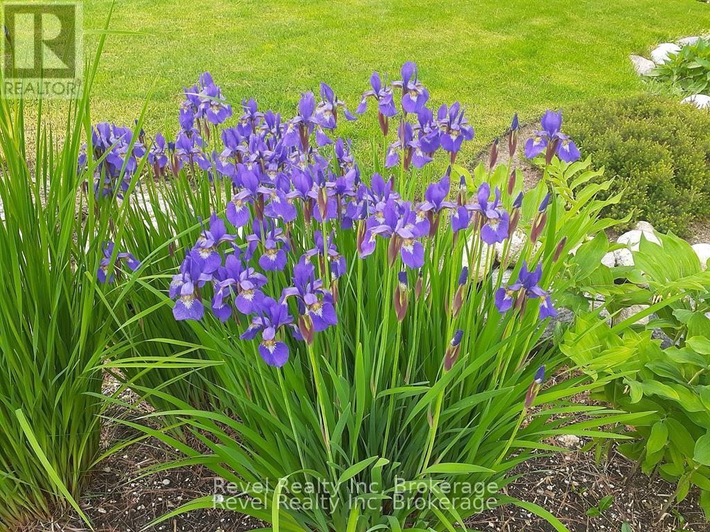 15 Stoney Road, Tiny, ON - Outdoor