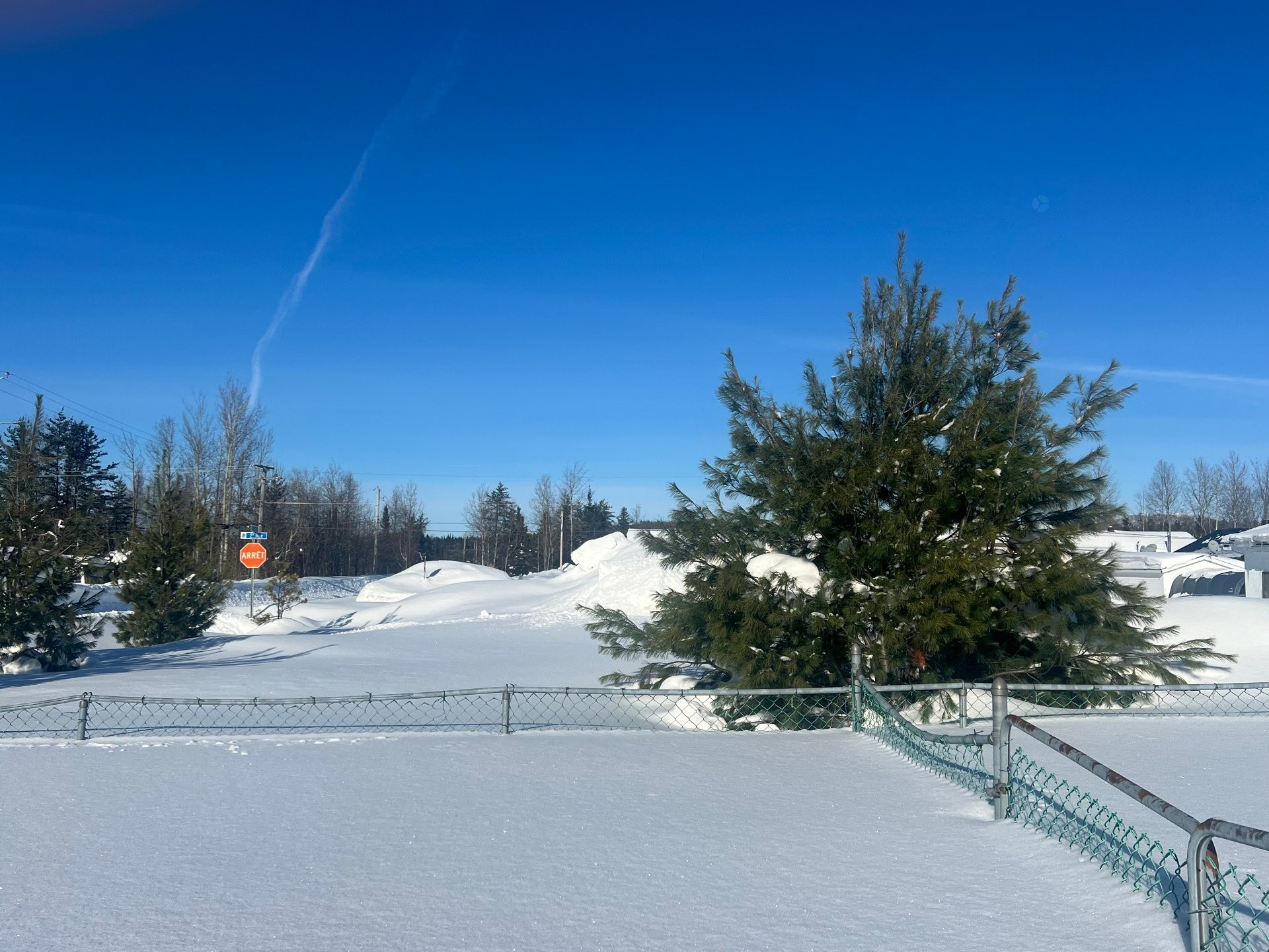 Courtyard - 40 2E Rue, Chapais, QC - Outdoor With View