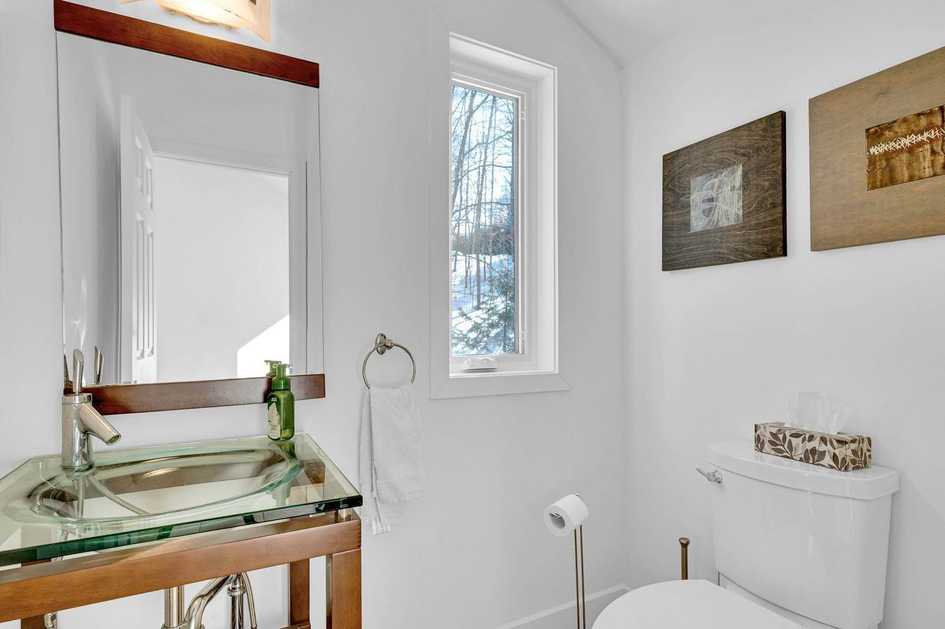 Powder room - 1575 Rue Du Mont-Hibou, Sainte-Adèle, QC - Indoor Photo Showing Bathroom