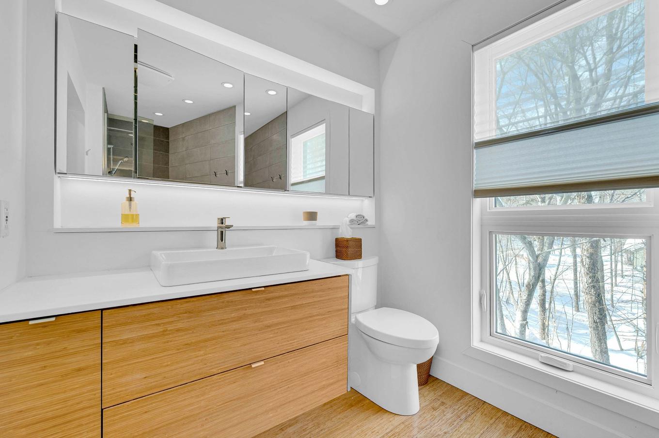 Ensuite bathroom - 1575 Rue Du Mont-Hibou, Sainte-Adèle, QC - Indoor Photo Showing Bathroom
