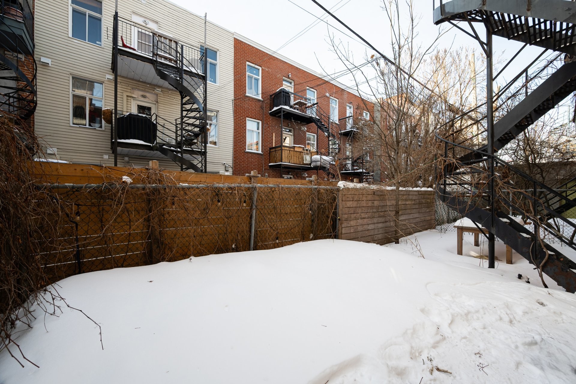 Cour - 6644 Av. Henri-Julien, Montréal (Rosemont/La Petite-Patrie), QC - Outdoor