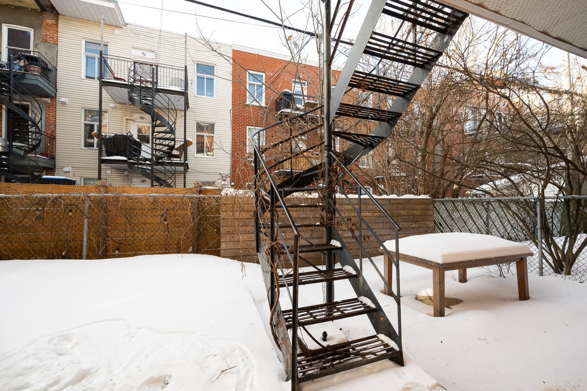 Cour - 6644 Av. Henri-Julien, Montréal (Rosemont/La Petite-Patrie), QC - Outdoor