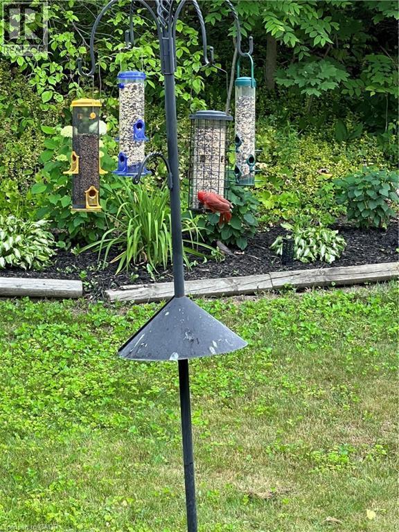 70 Berkley Crescent, Simcoe, ON - Outdoor