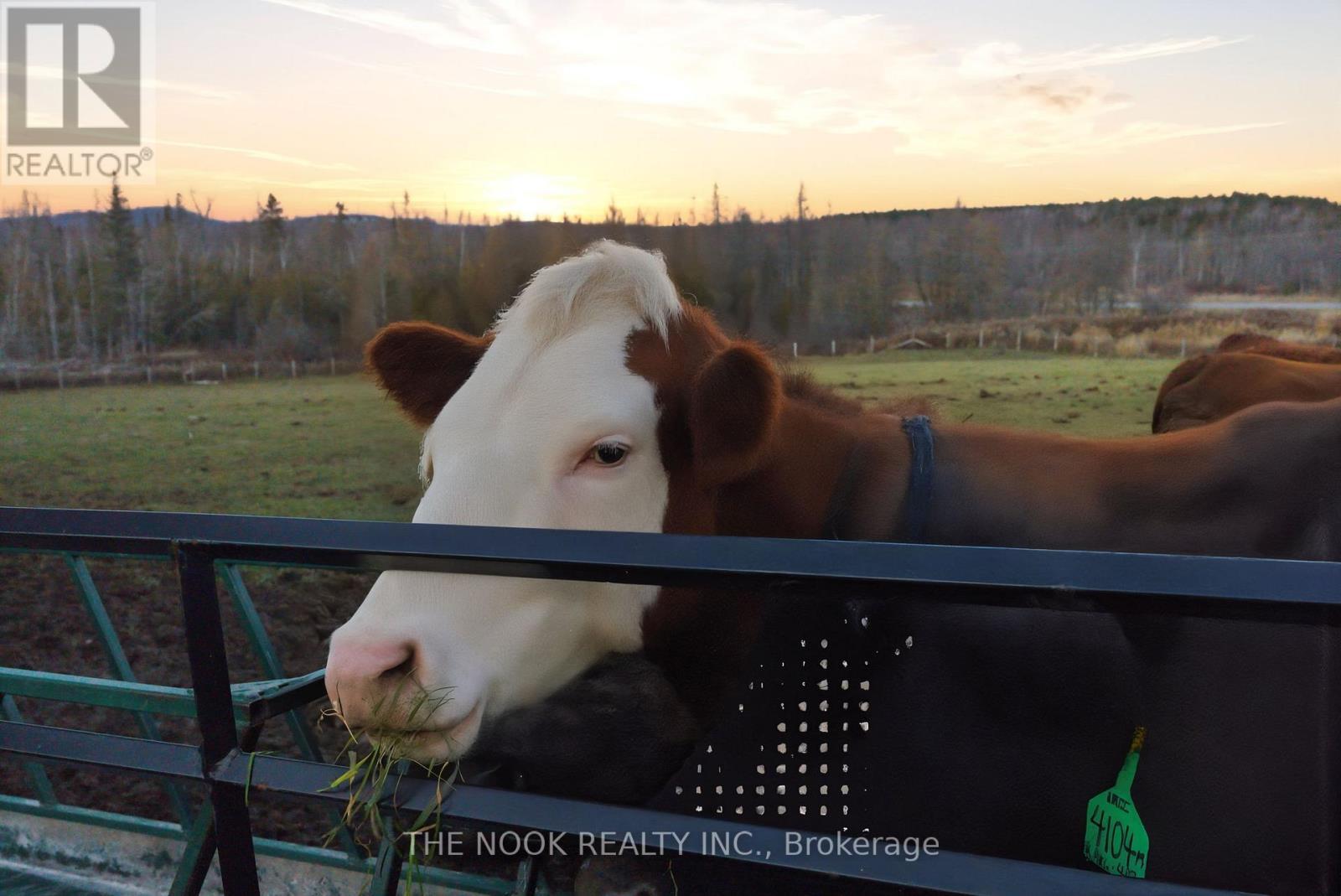 2132 County 10 Road, Cavan Monaghan (Cavan Twp), ON