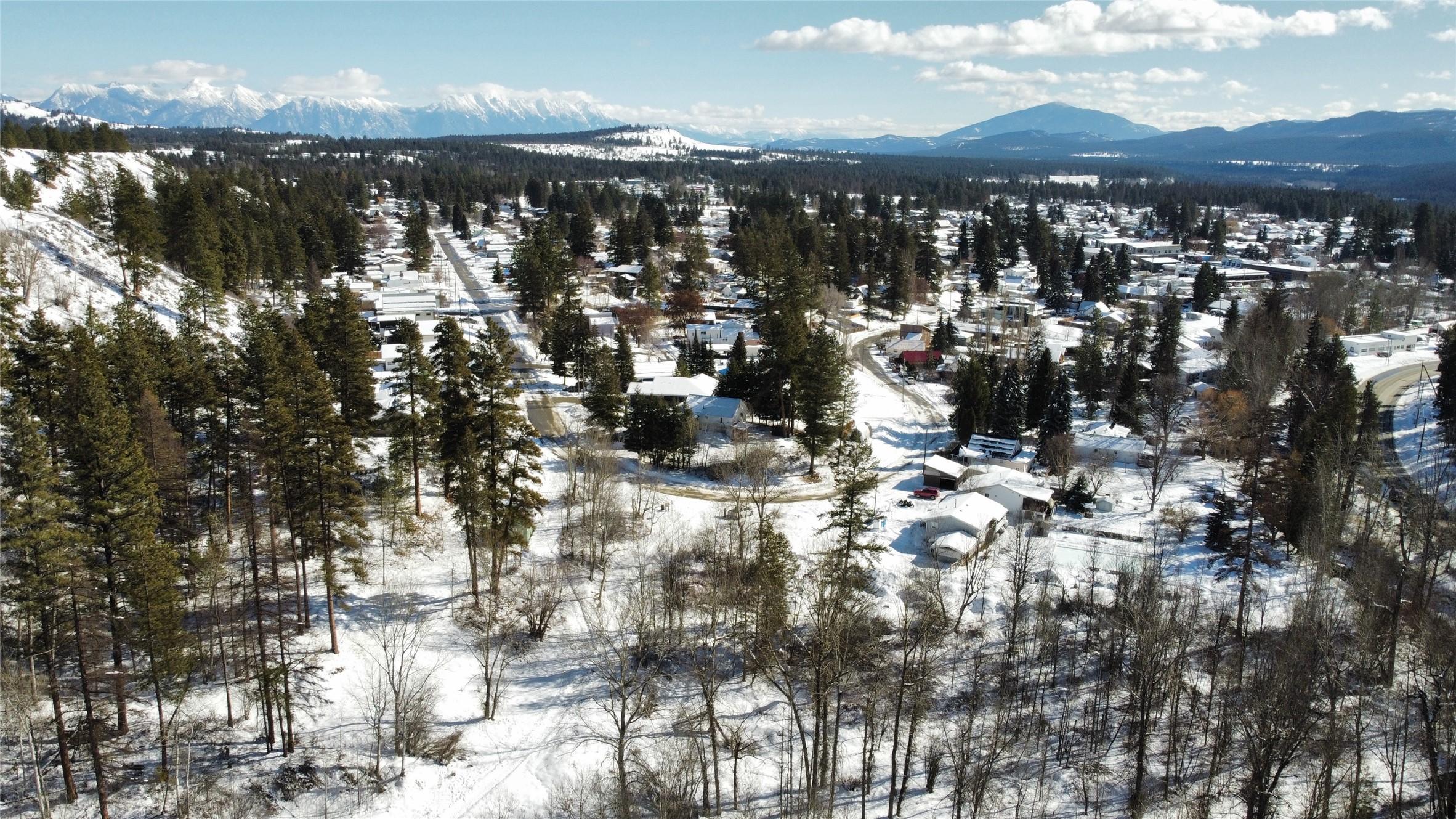 99 304Th Avenue, Kimberley, BC - Outdoor With View
