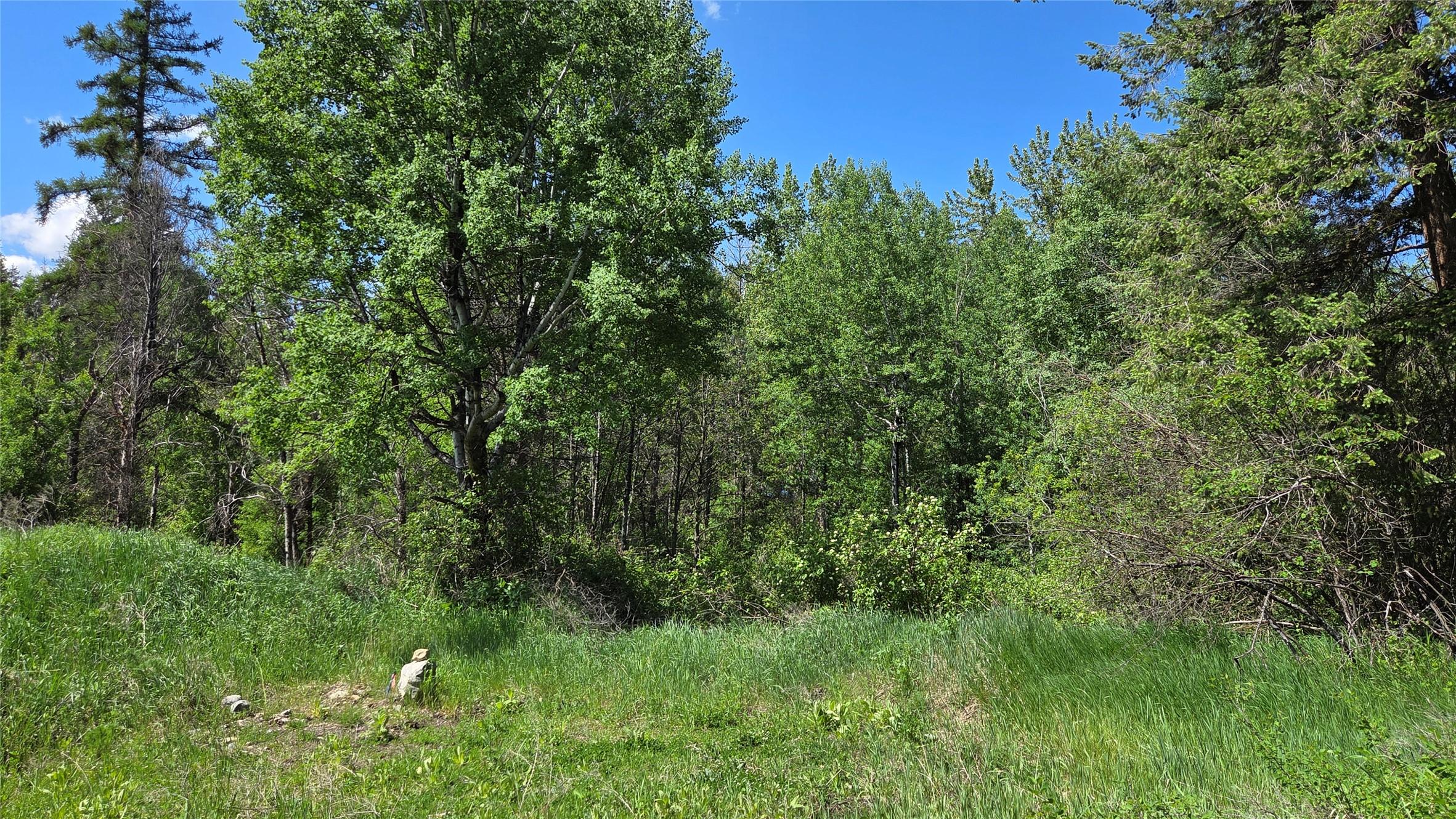 99 304Th Avenue, Kimberley, BC - Outdoor With View