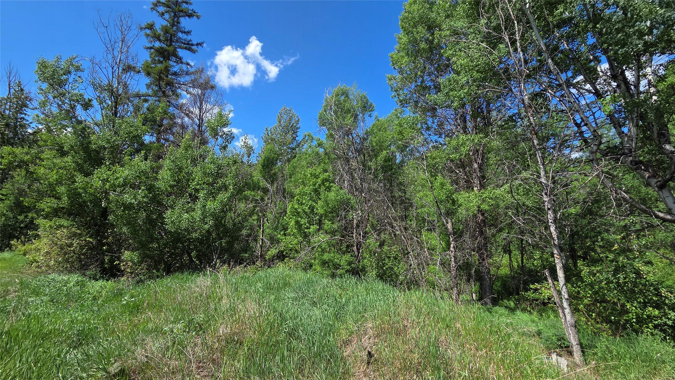 99 304Th Avenue, Kimberley, BC - Outdoor With View