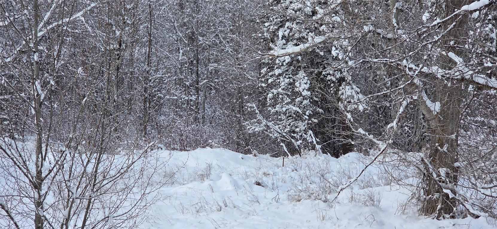 99 304Th Avenue, Kimberley, BC - Outdoor