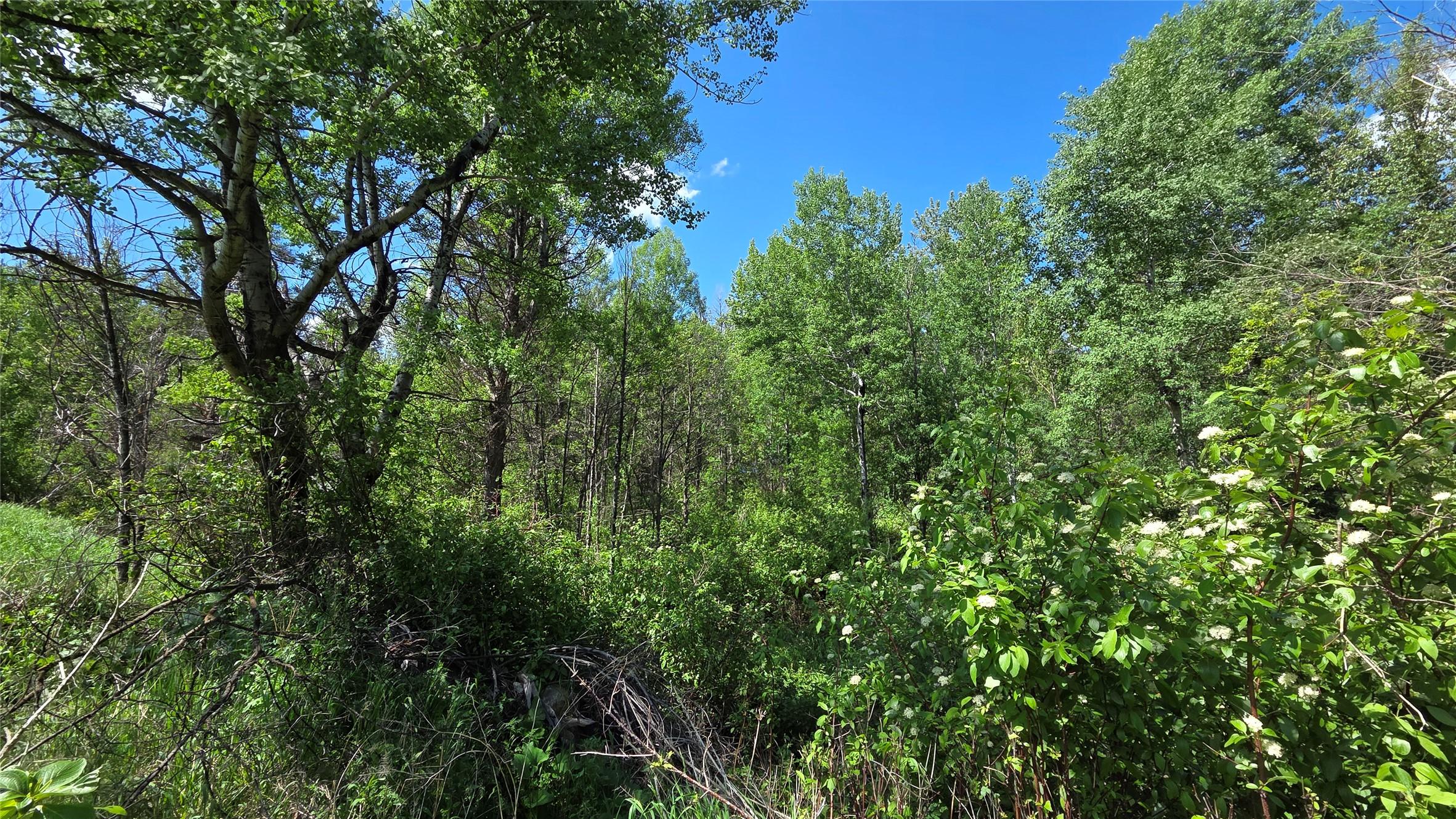 99 304Th Avenue, Kimberley, BC - Outdoor