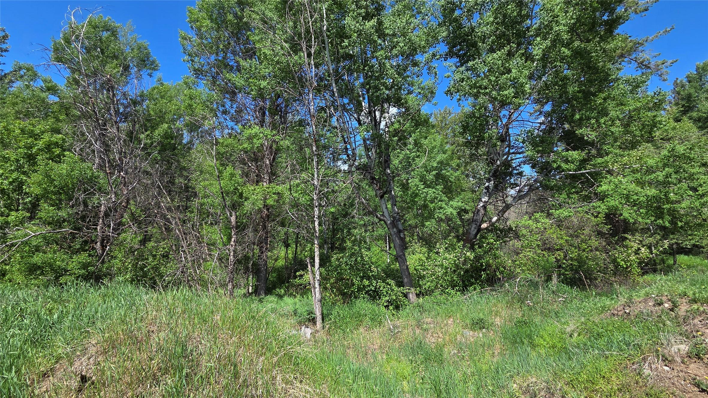 99 304Th Avenue, Kimberley, BC - Outdoor With View