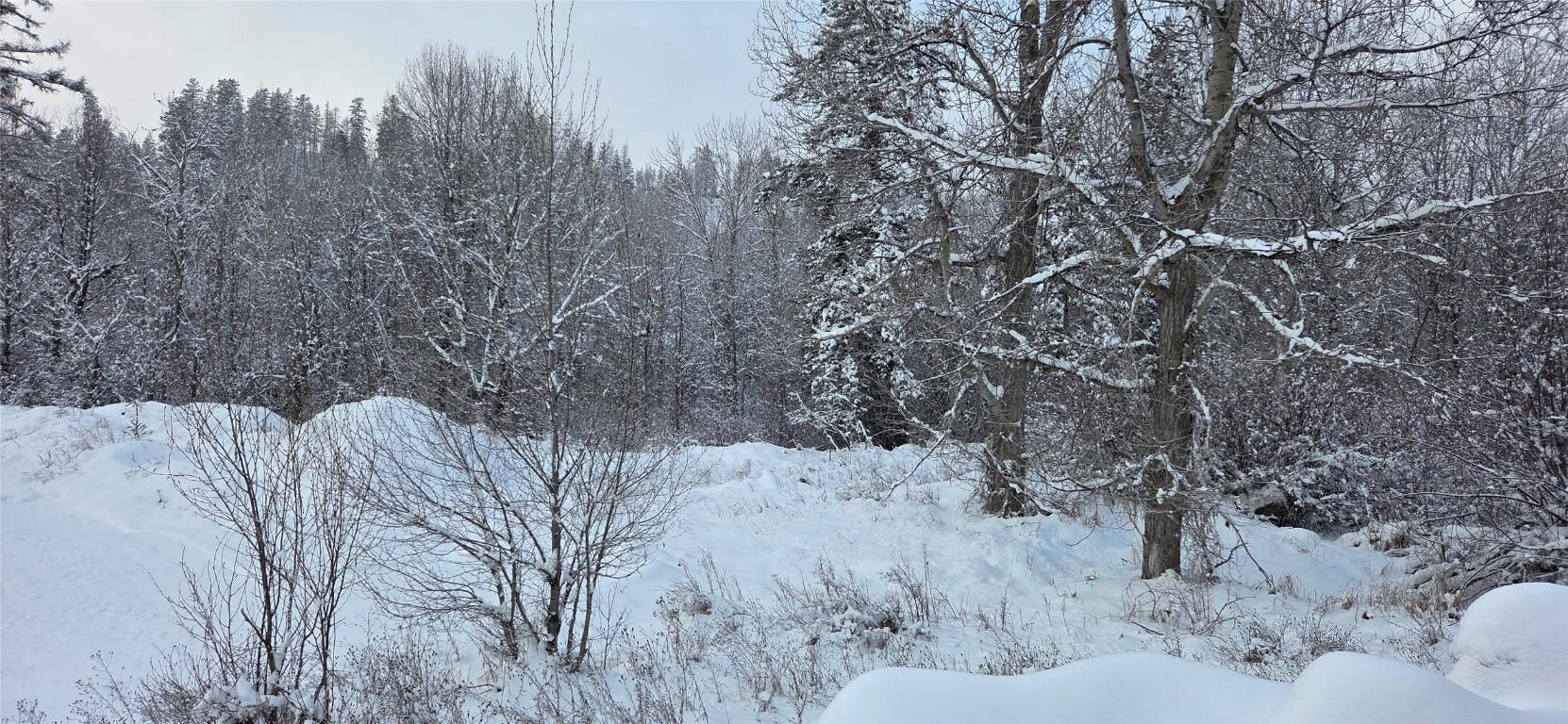 101 304Th Avenue, Kimberley, BC - Outdoor