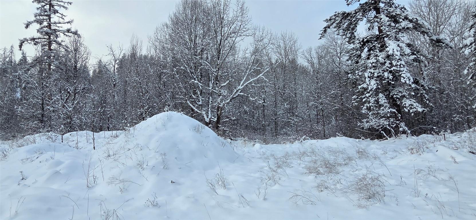 101 304Th Avenue, Kimberley, BC - Outdoor