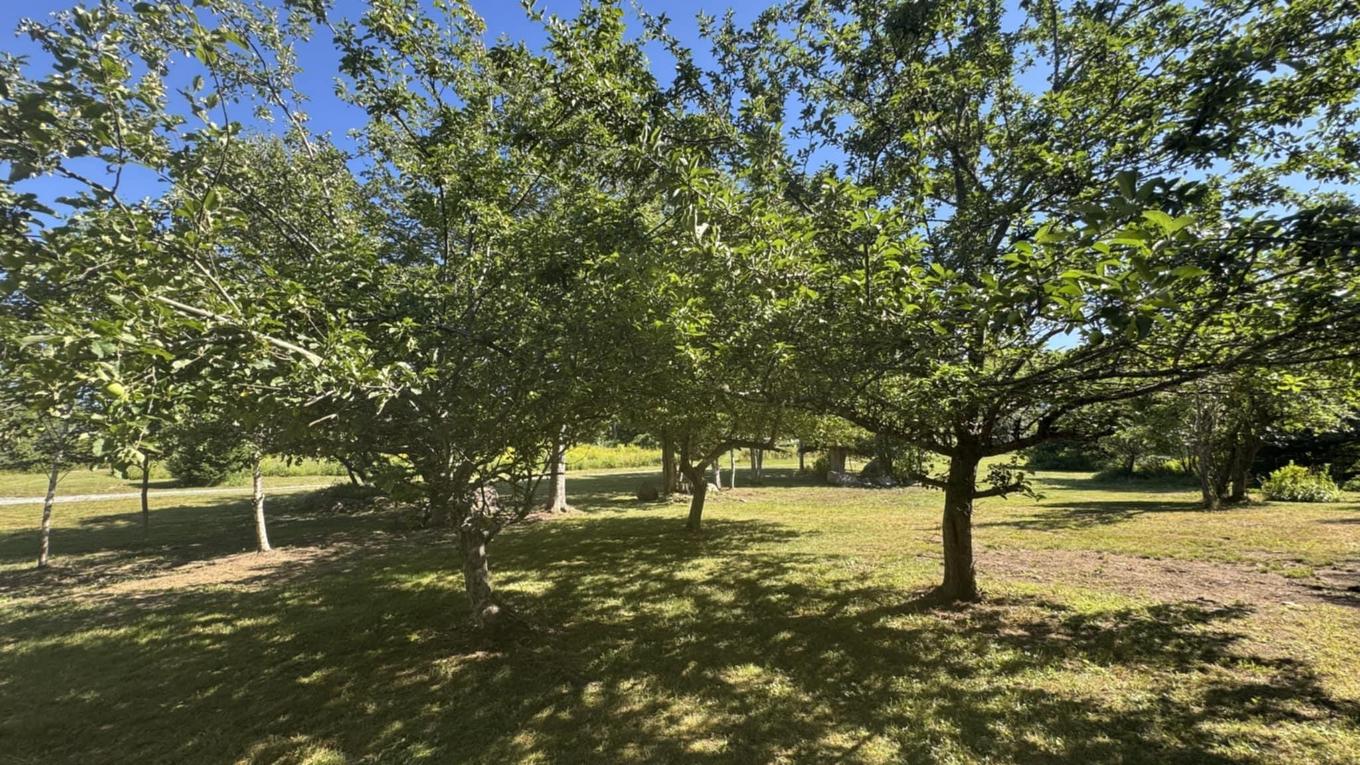 41 Eldoras Lane, Sheet Harbour, NS