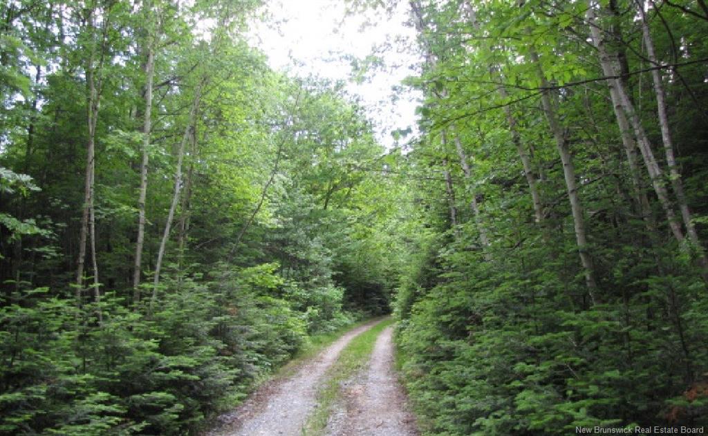 327 Maple Grove Rd, Maple Grove, NB