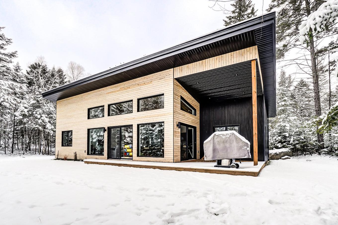 Back facade - 615 Ch. David, Lac-Supérieur, QC - Outdoor