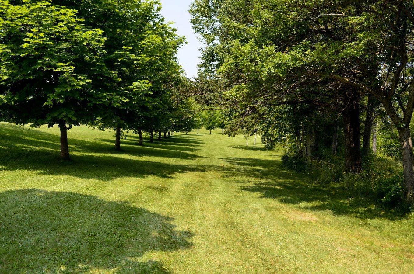 41 Colonial Arms Drive, Deep Brook, NS
