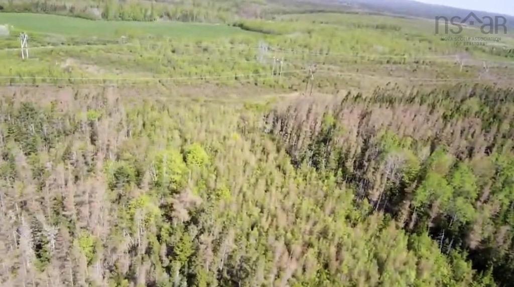 Lot 2 Highway, Lower Onslow, NS