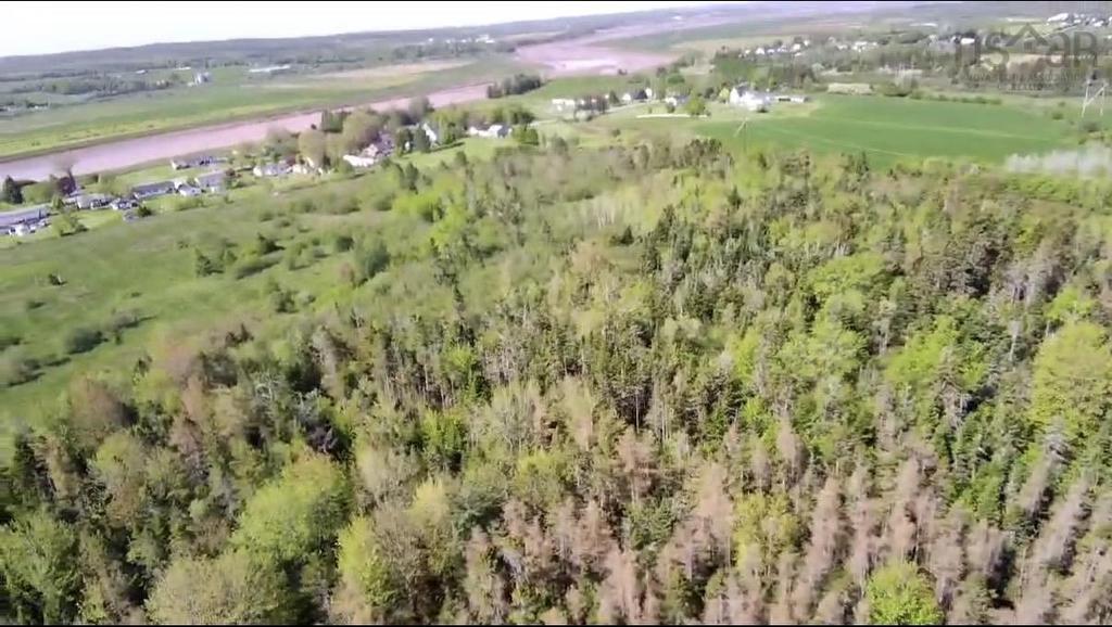 Lot 2 Highway, Lower Onslow, NS