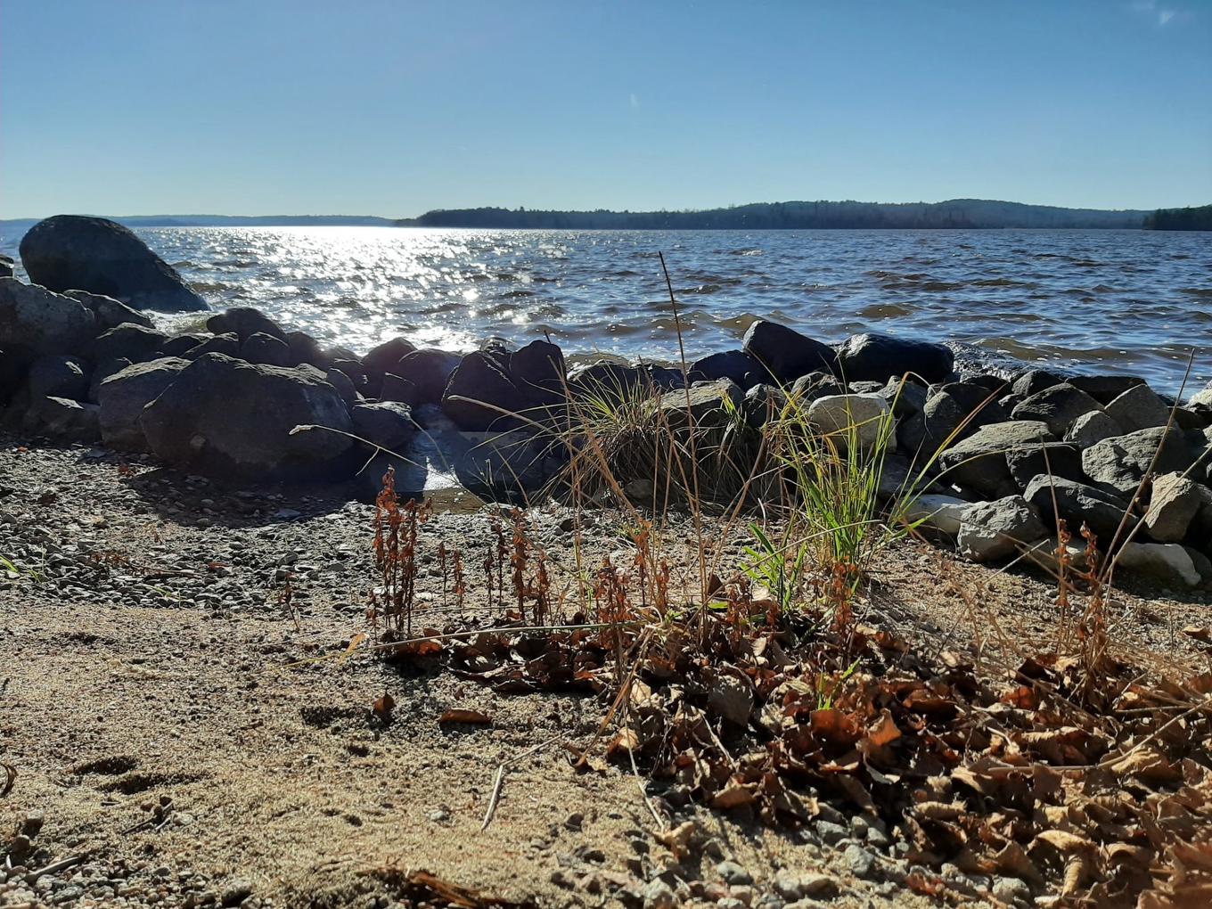 Accès au plan d'eau - 2101Z 10E Rang, Latulipe-Et-Gaboury, QC - Outdoor With Body Of Water With View