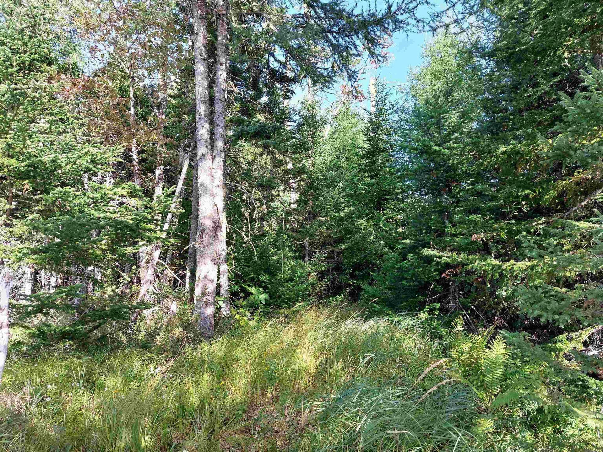 Lot 7 Lower River Rd, Cleveland, NS