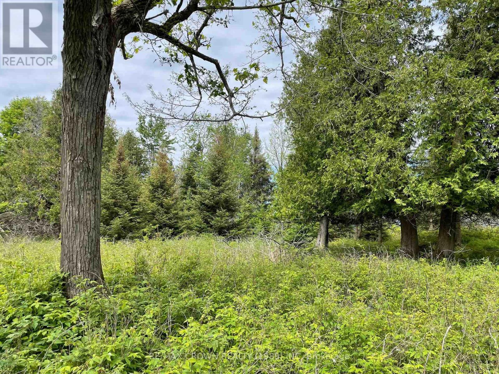 4 Smith Island, Callander, ON