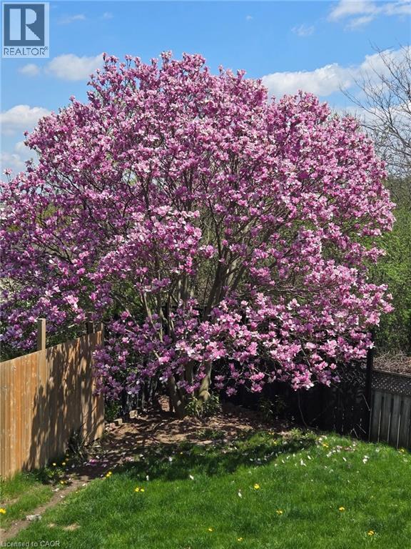 224 Brembel Court, Kitchener, ON - Outdoor